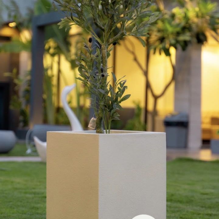 عبدالله الزويد🦾