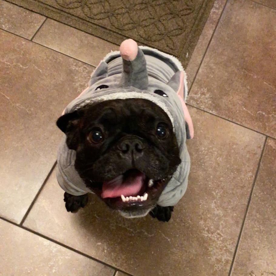 Bella