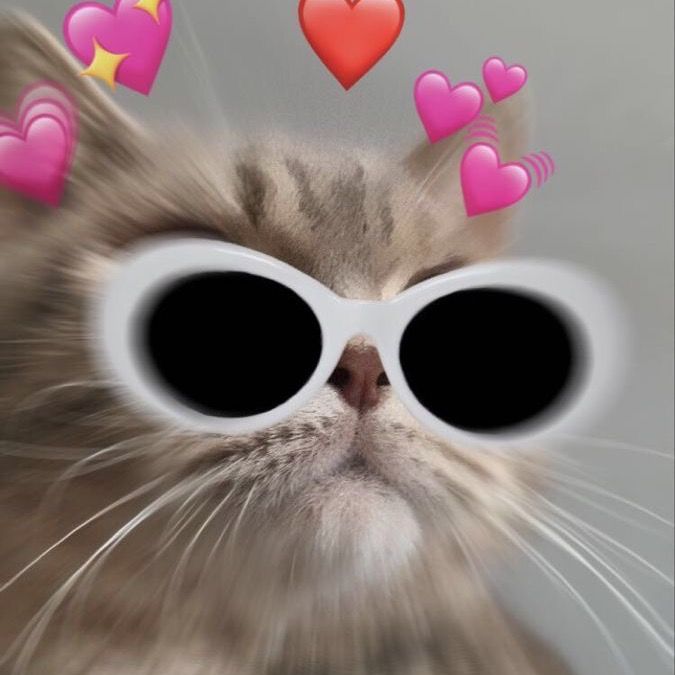 🦋قصص🦋