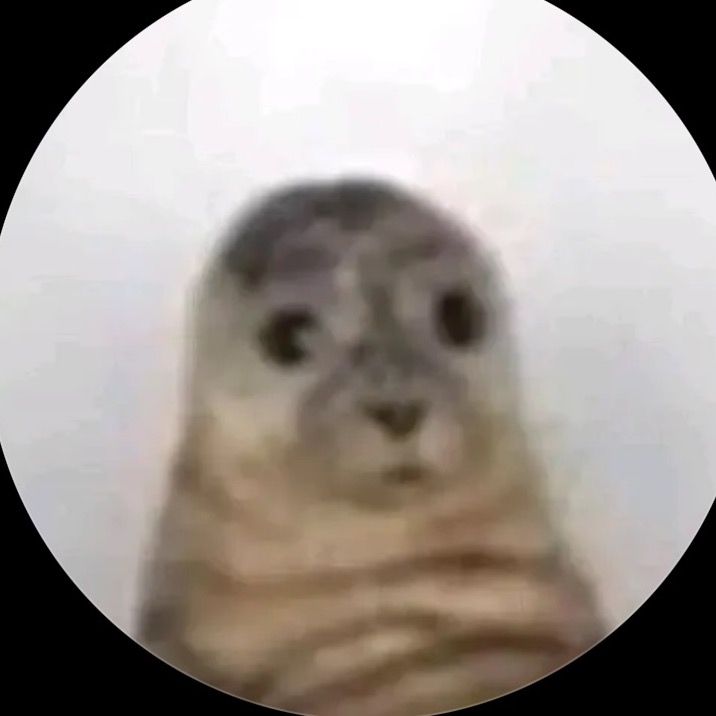 v 🦭