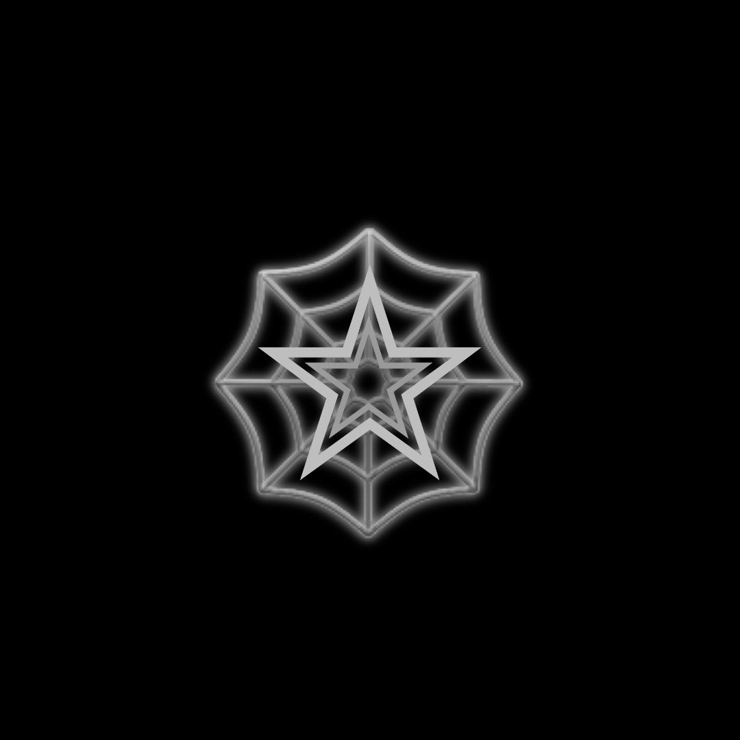 𝐒 𝐤 𝐲🕸️