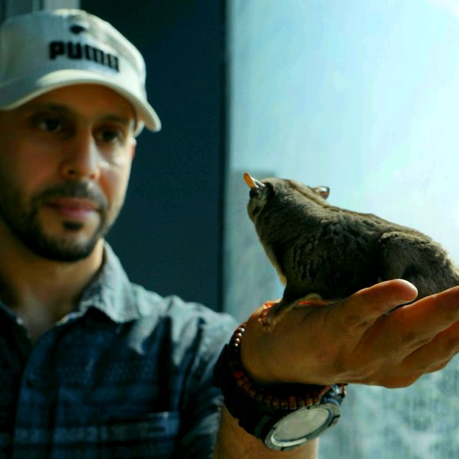 ⭐سلطان🕊_🇸🇦sultan