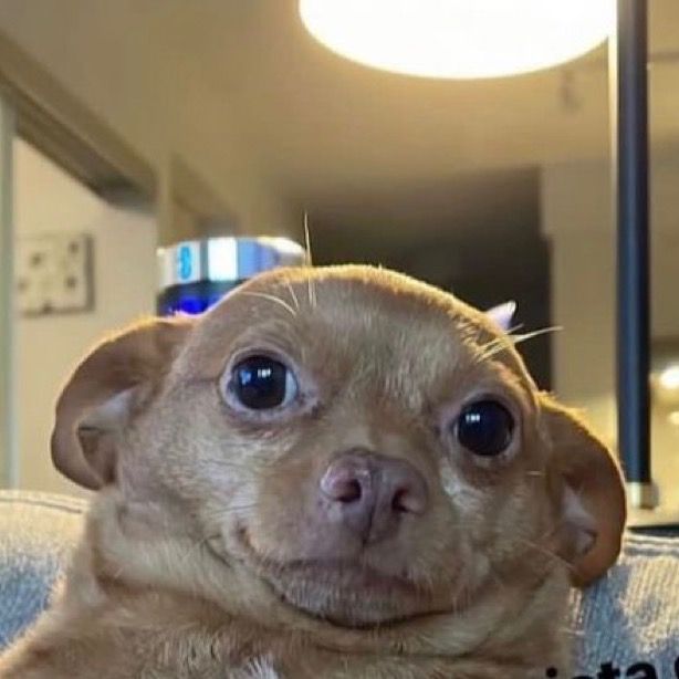 LE