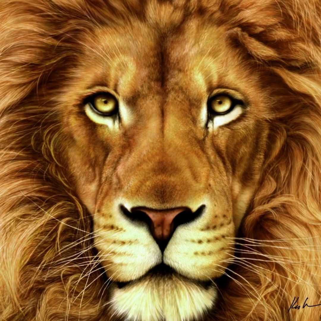 👑👑 _أسكارفيس الاسطورة _👑👑