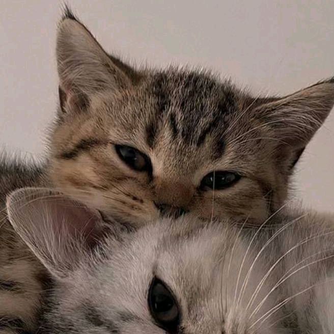 Тот Самый💗