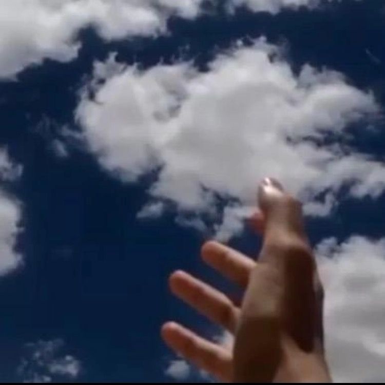وناسة
