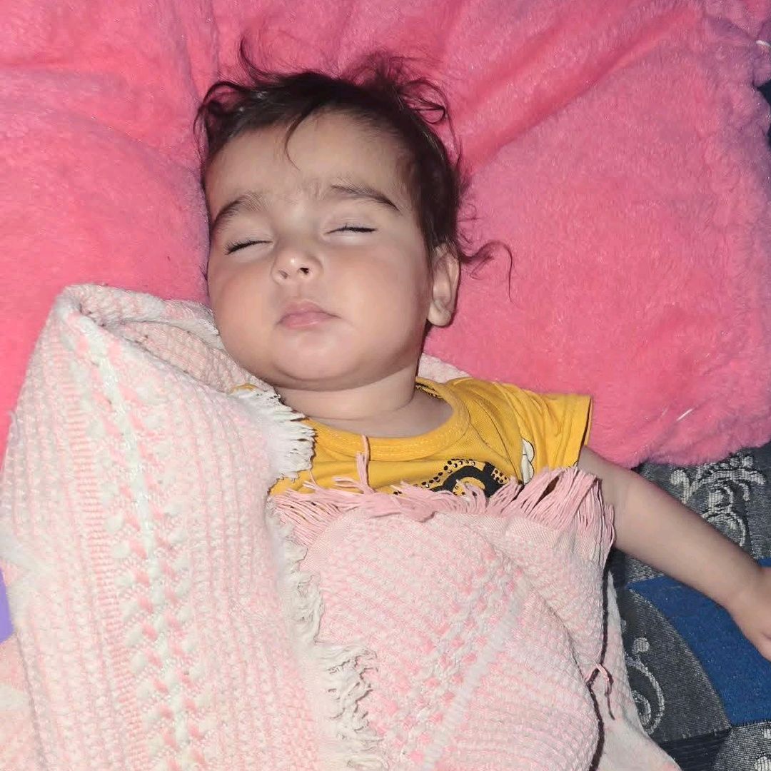 🙏feed my family 🍉