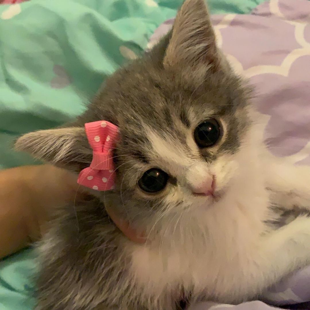 𝗔𝗟𝗔𝗔💙