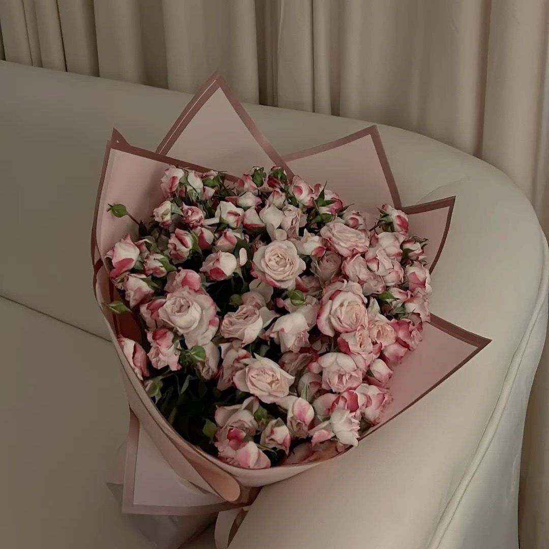 زَ🌷