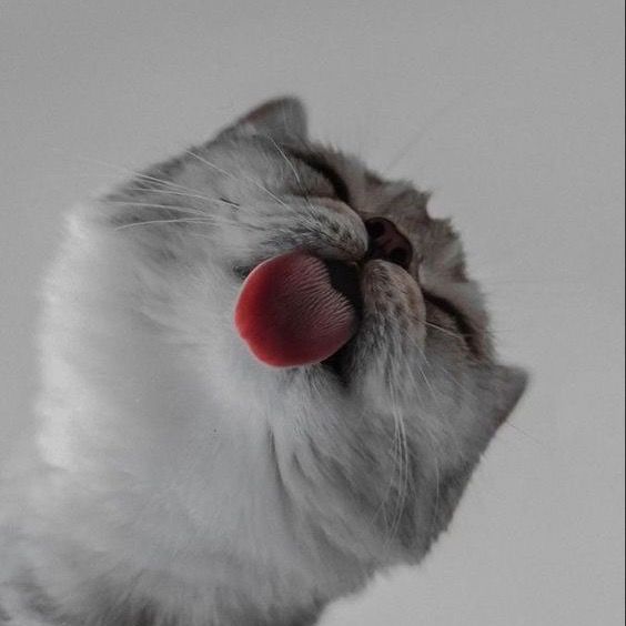 опять я)