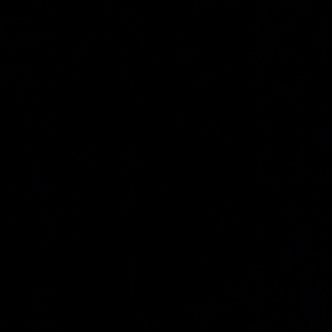 _CinematicAnimation_