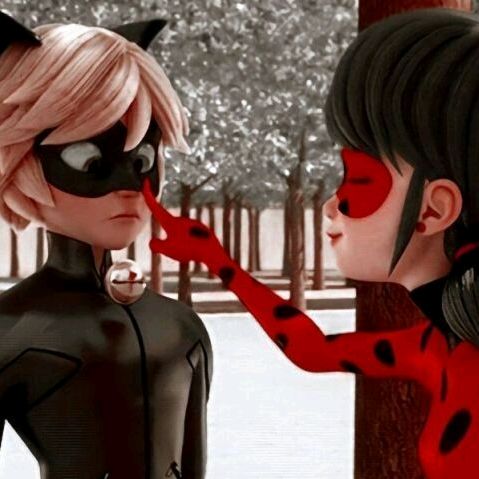 🐞🐈⬛✨