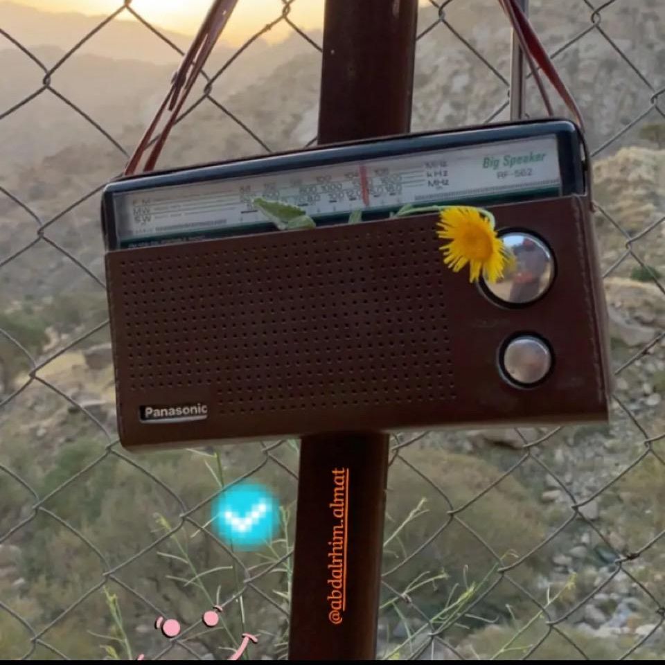 صقر الجنوب07