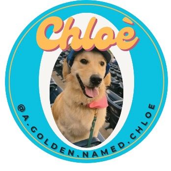 Chloè🐾