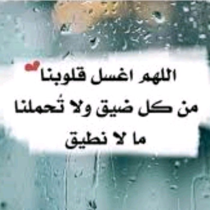 a_m__a_l_18