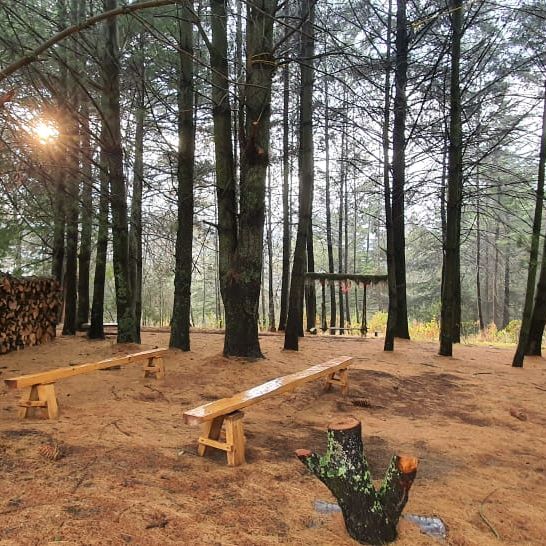 Santuario de las luciernagas ✅