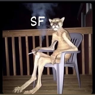SEIF
