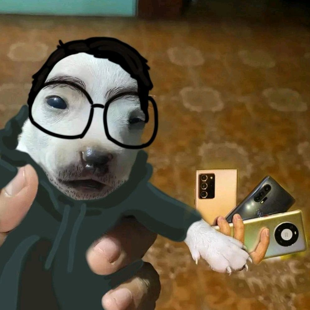 AcePhonesMX