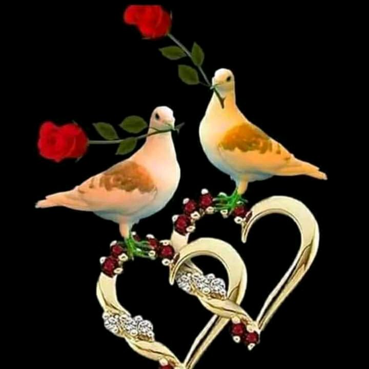 ❤️Raja,, __Adiiii✨😍