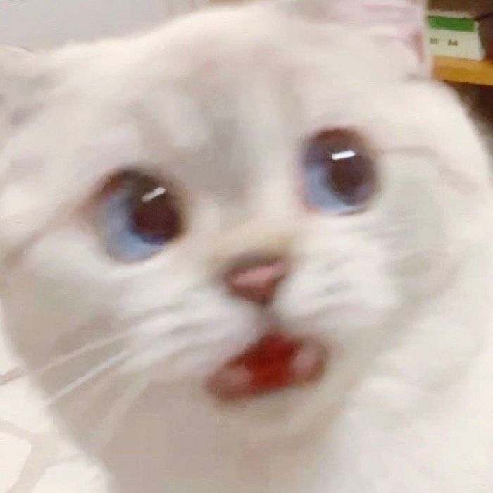 Rêve adoré