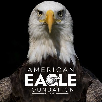 AEFEagles
