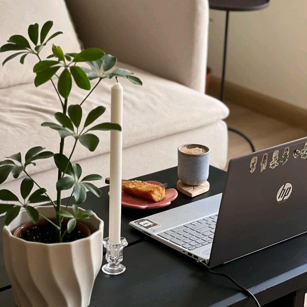 🦋A𝘧𝘪𝘺𝘢a 𝘈𝘭𝘪🍂🎧