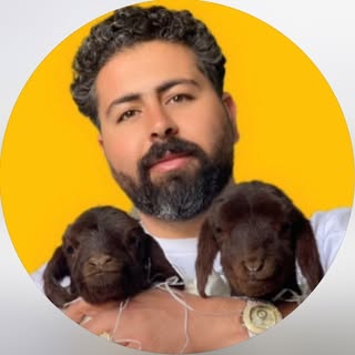 👑سلطان دام ایران👑