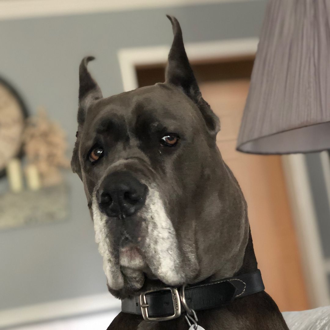 Agirlnamedwaylon