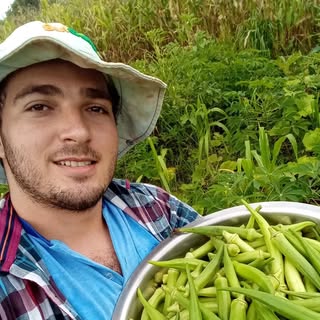 Henrique Amorim | Vida na Roça