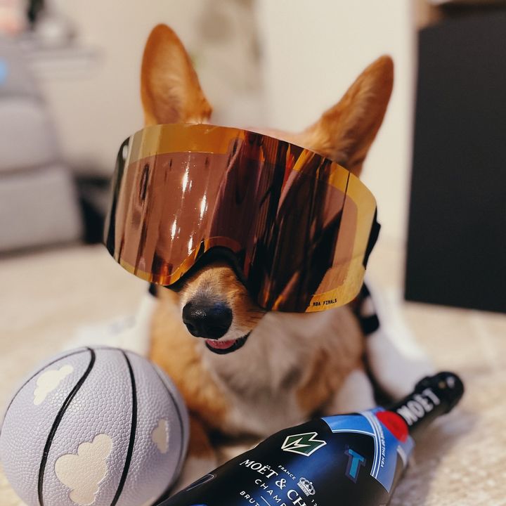 STEPH FURRY | Fluffy Mamba