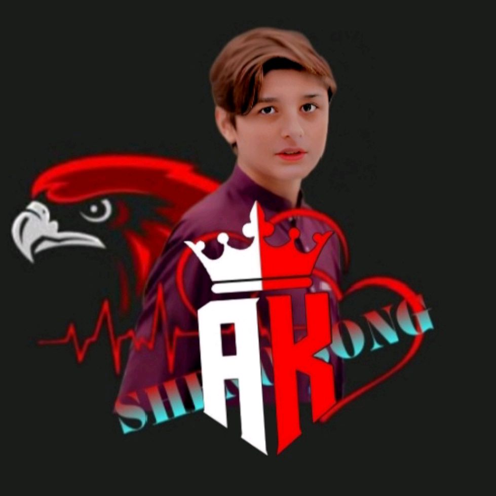 ➳ᴹᴿ᭄ʟɪᴛᴛʟᴇ 🦅ᴅɪʀᴏᴊʏ ♢⦕