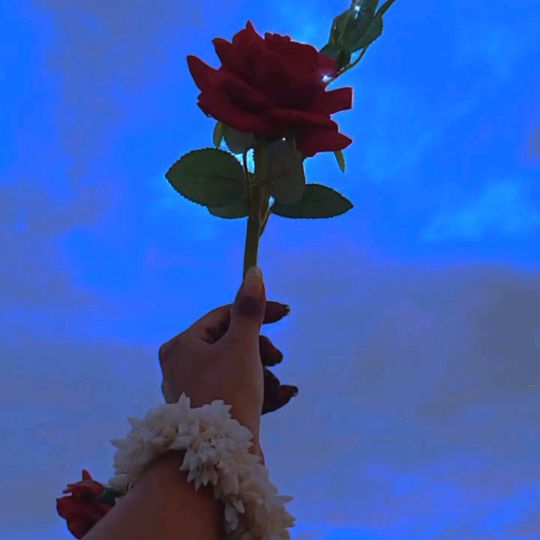 akritichaudhary2028