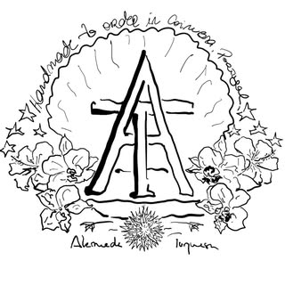 ALAMEDA TURQUESA 🍯🌈🧜🏽‍♀️🎨