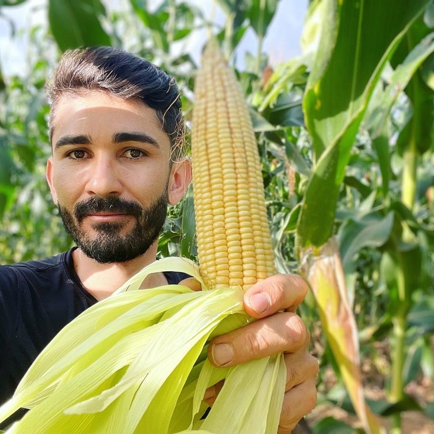 Alex Brito
