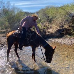 Alfredo Salazar Sara