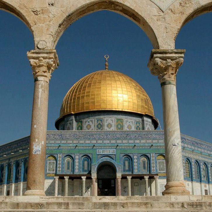alkhatibzeineddine89