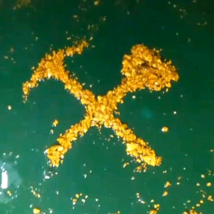 Denizli Altın Avcıları