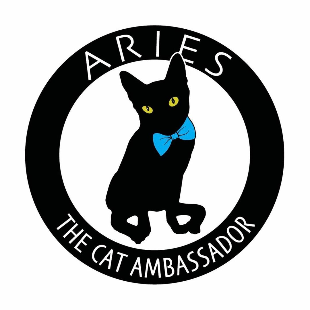 Aries The Cat Ambassador
