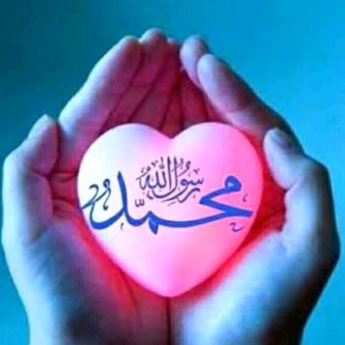 amer786.313