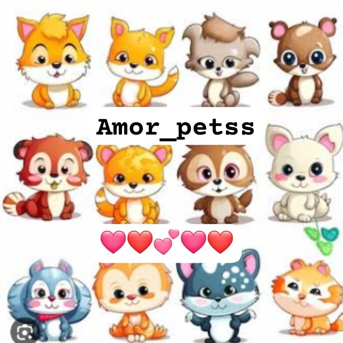 Amor_petss