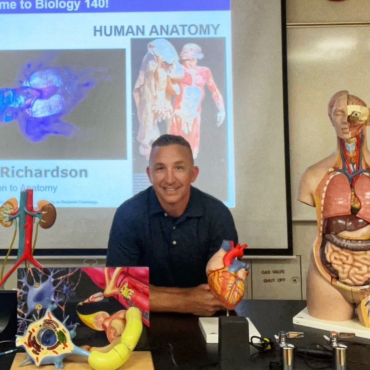 anatomy_brad