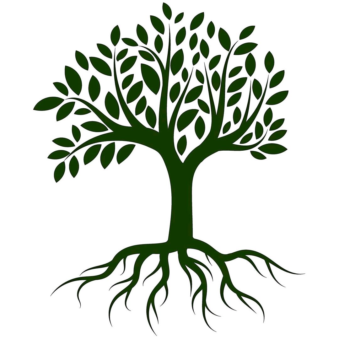 Andrei Bănică🇷🇴