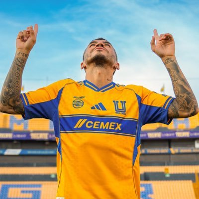 Angel Correa