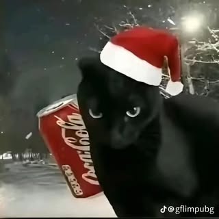 Катана