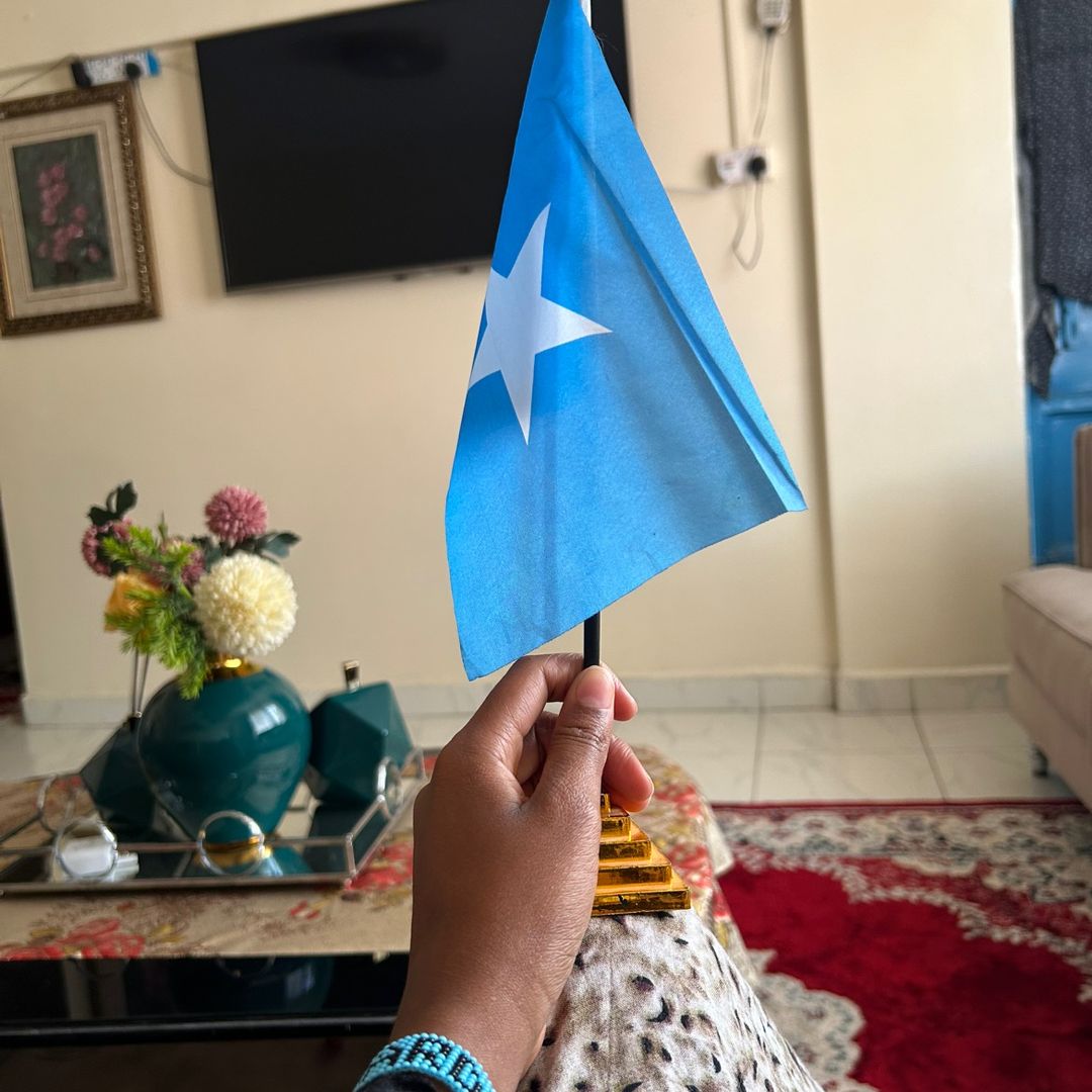 🇸🇴