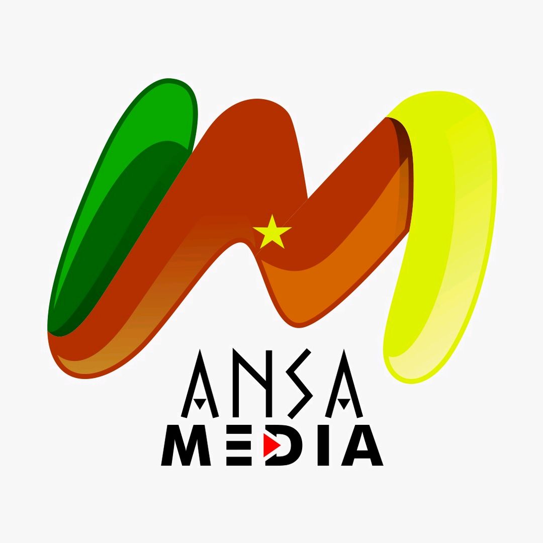Ansa Media