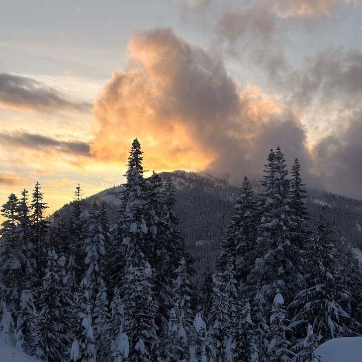 arcteryx_chris