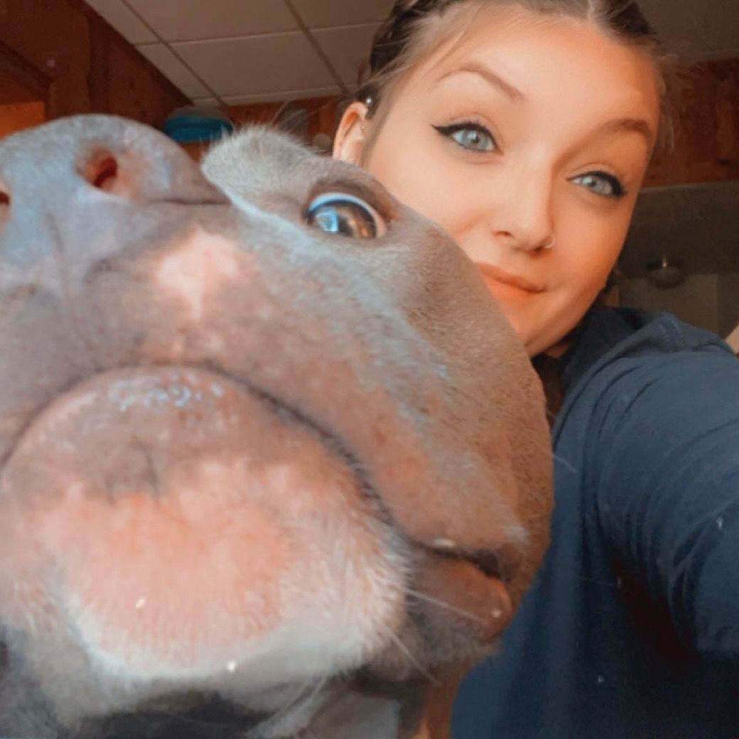 𓆉