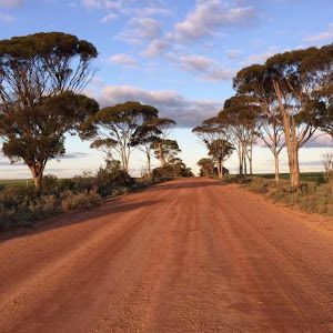 Australian Truck Spotting