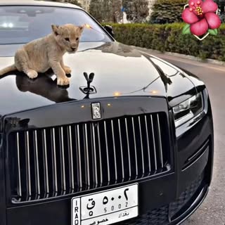Рамадан Кадыров